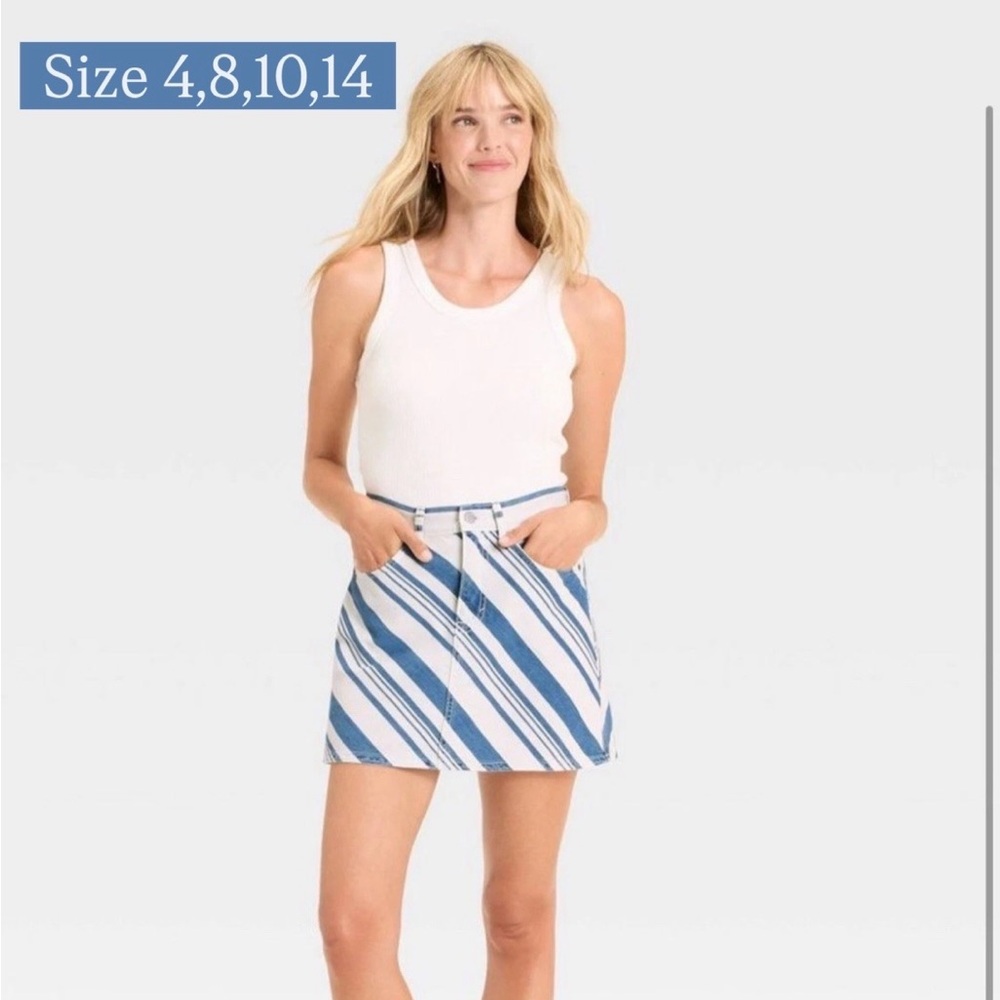 Blue and White Striped Women's Skirt